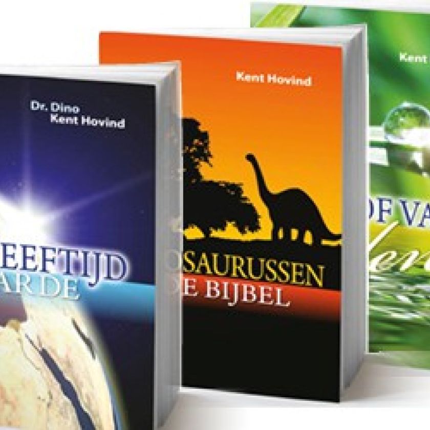 Pakket hof / leeftijd / dinosaurussen - MA20199 -  Boeken bij MajesticAlly