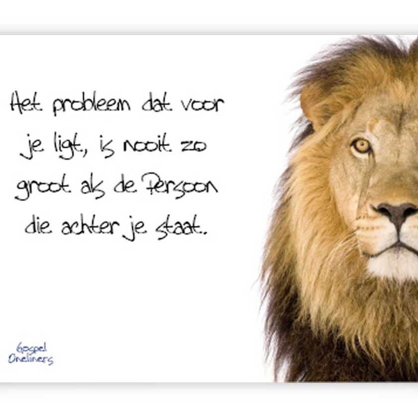prentbriefkaart 'Het probleem dat voor je ligt'