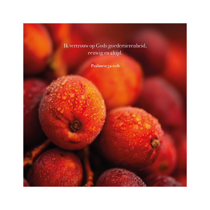 MA59030 4 Seasons Herfstbessen Psalm 52 vers 10b.pdf 12f01393