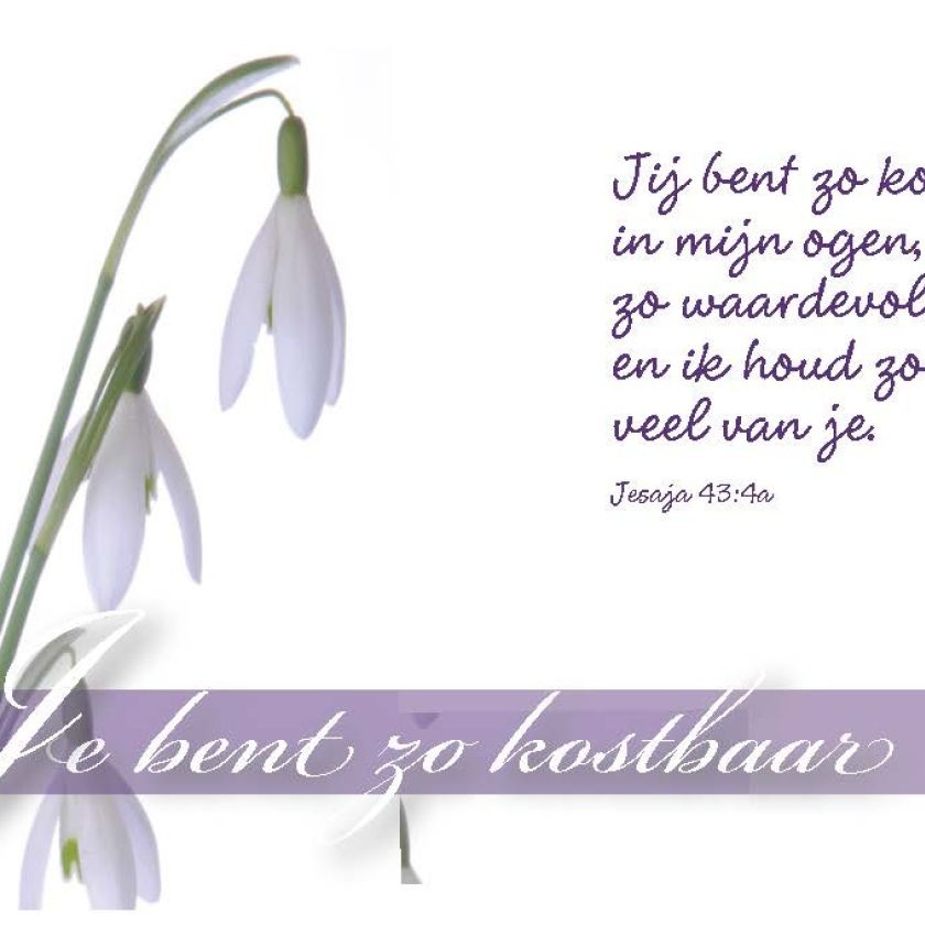 Minikaart je bent zo kostbaar - 46216 -  Minikaartjes bij MajesticAlly