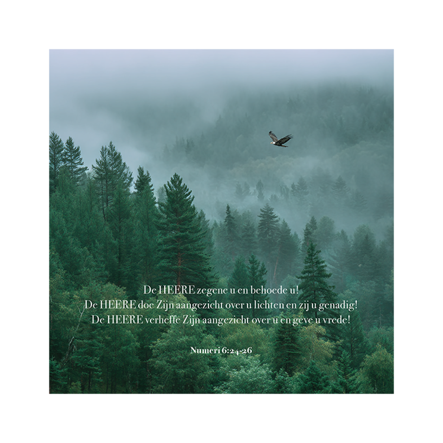 MA59027 4 Seasons Adelaar Numeri 6 vers 24 26.pdf 16da5ded