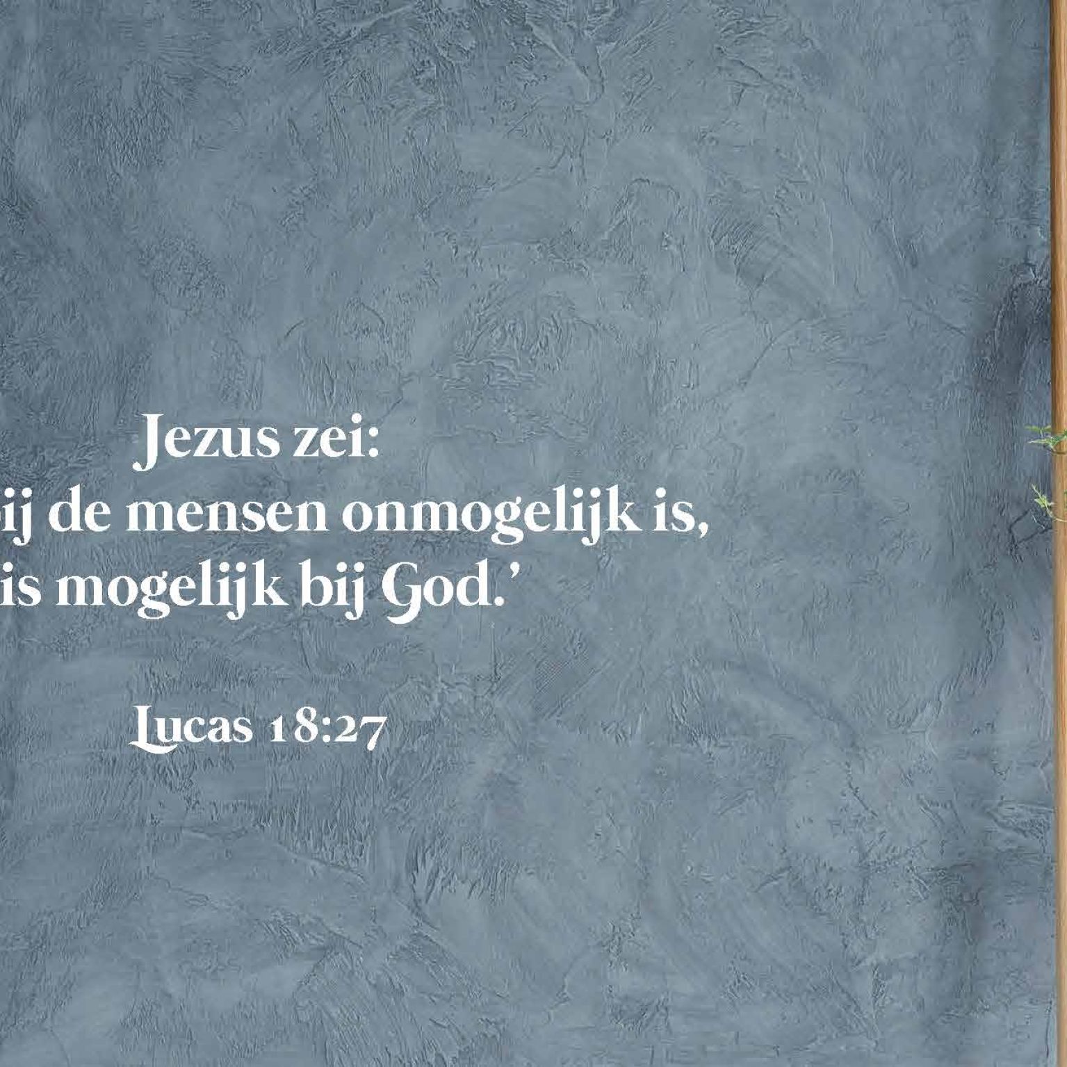 Budgetboekje Puur 2022 Pagina 09 1af7c523