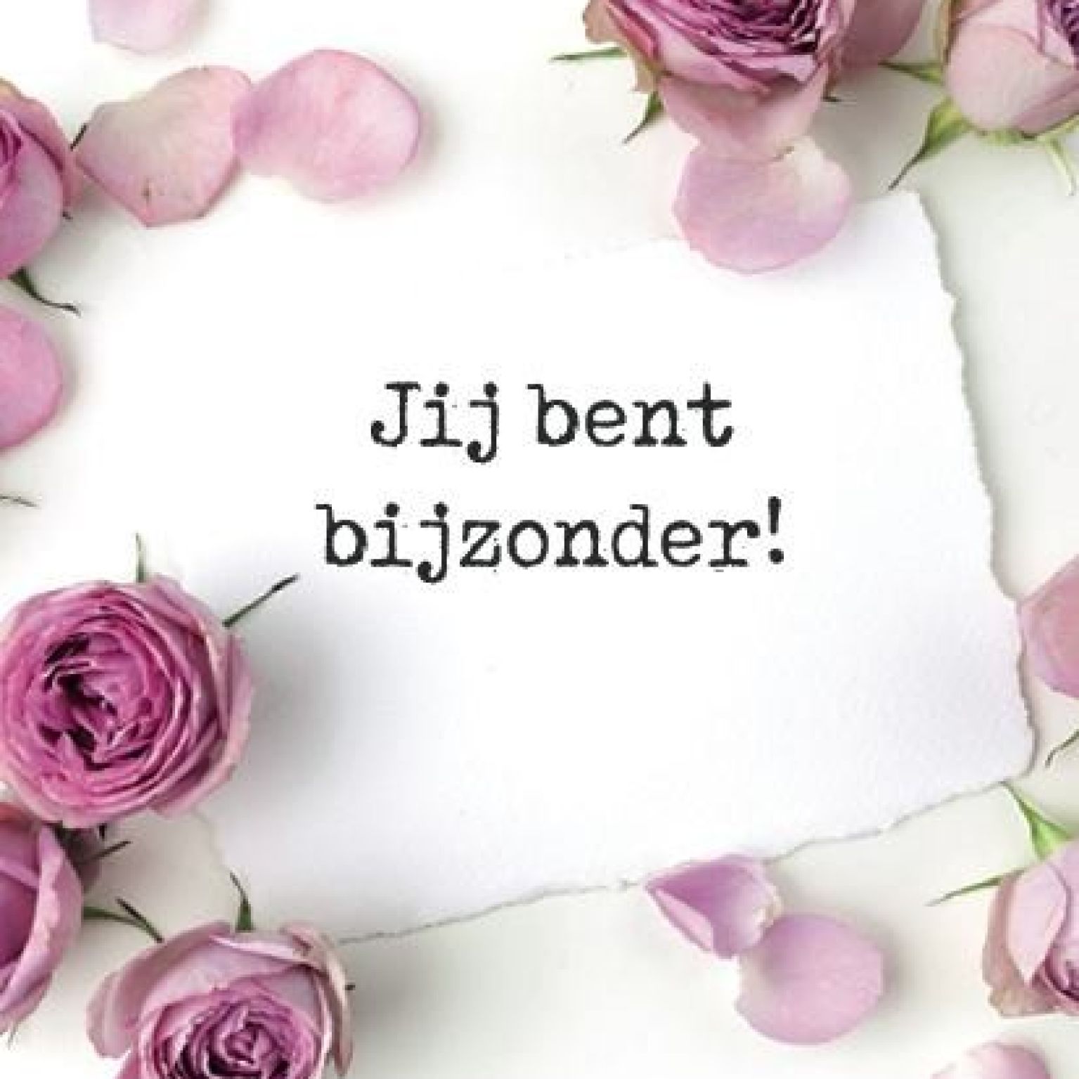 Kaartenpakket - 25 stuks  'Jij bent bijzonder' - MA38004-25x -  Kaarten bij MajesticAlly