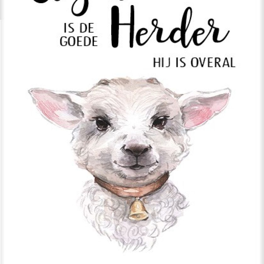 * Sponsorpakket  'Beautiful day' voor een Bijbel - MA25000S2 -  Voordeelpakjes bij MajesticAlly