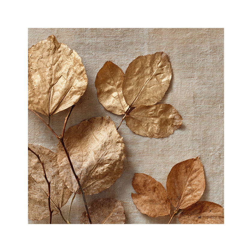 MA59034 4 Seasons Goudkleurige bladeren.pdf 258e78a9