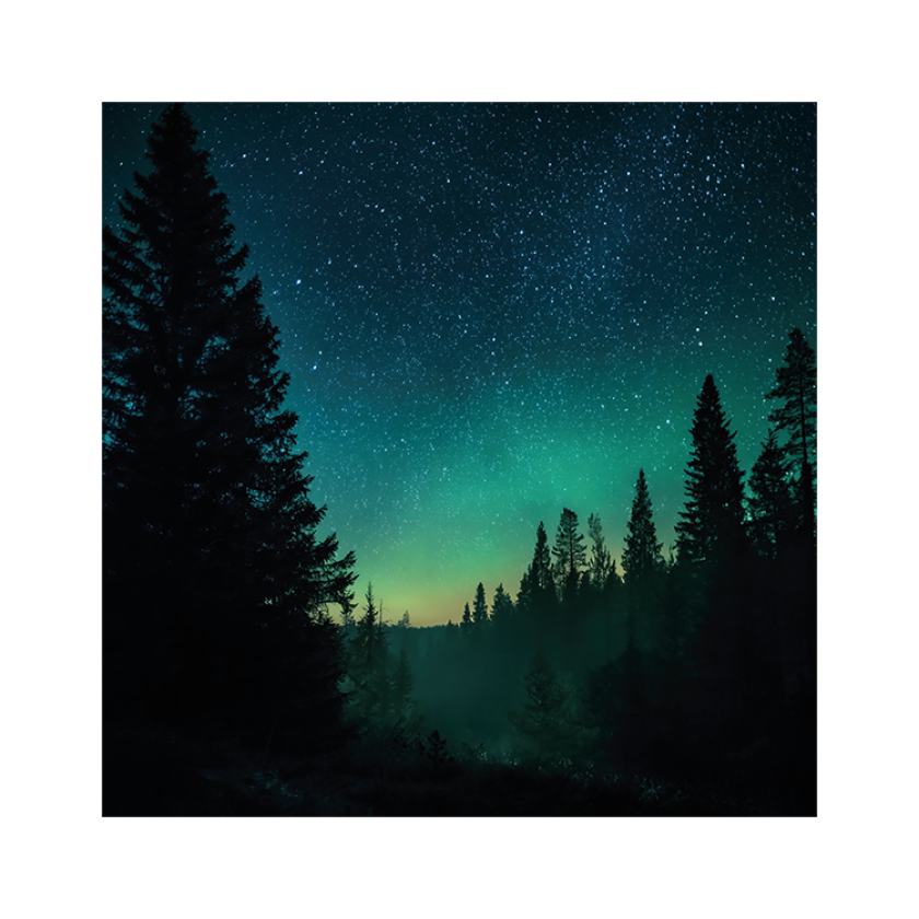 MA59033 4 Seasons Sterrenhemel.pdf 2bb90514