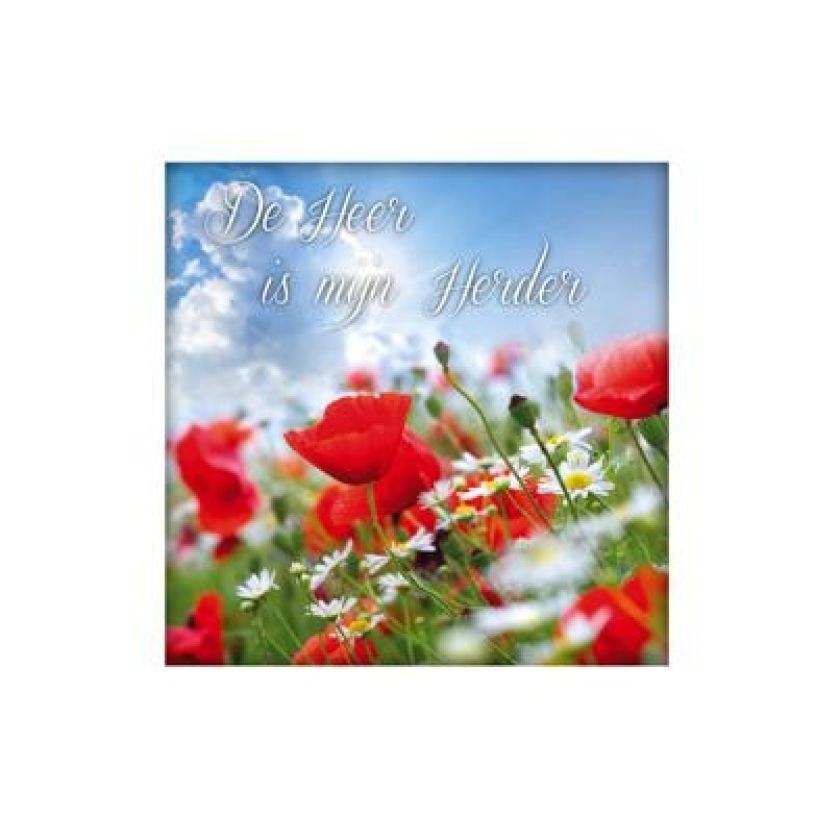 Voordeelpakket 25 x wenskaart Living Melodies - MA14100 -  Living Melodies bij MajesticAlly