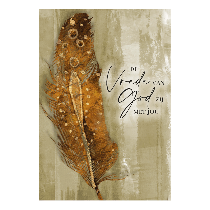 MA55007 NA scaled 326e8339