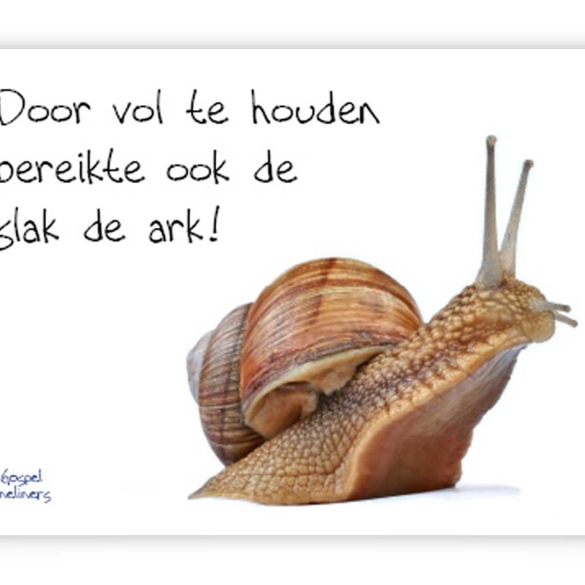 Minikaart 'Door vol te houden'