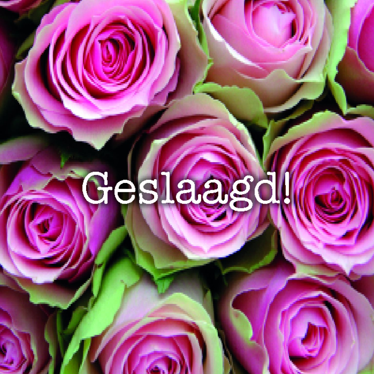 Kaart geslaagd - MA12304 -  Geslaagd bij MajesticAlly