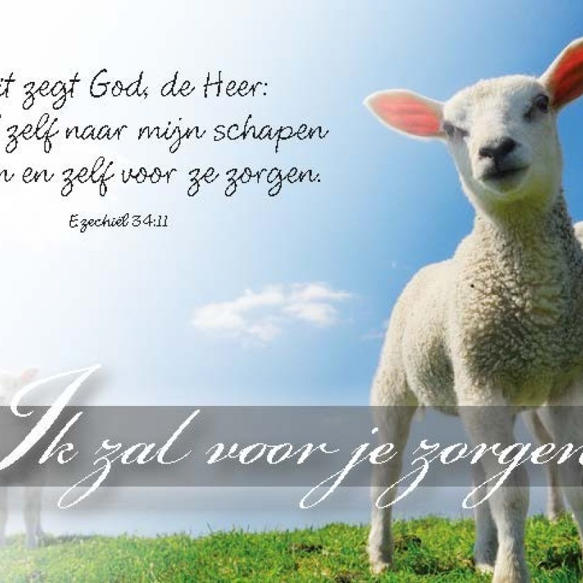 Minikaart Ik zal voor je zorgen - 46206 -  Minikaartjes bij MajesticAlly