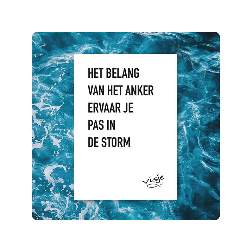 V16011 Visje Cadeaubordjes 15x15 Anker Storm 3a2f3173