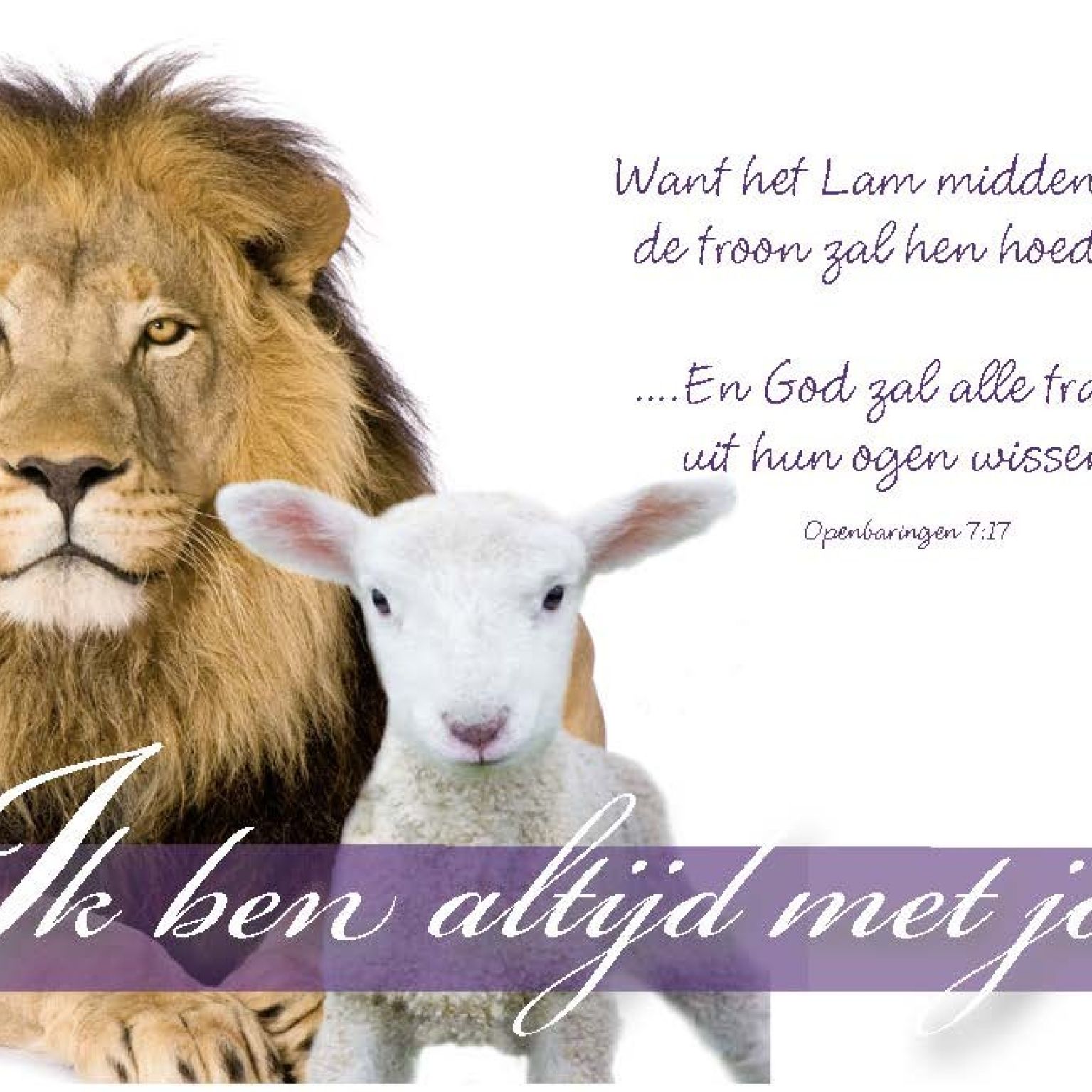 Minikaart Ik ben altijd met je - 46204 -  Minikaartjes bij MajesticAlly