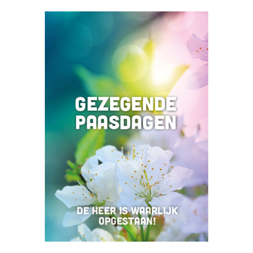 MA38082 NA3 3f9eb0da