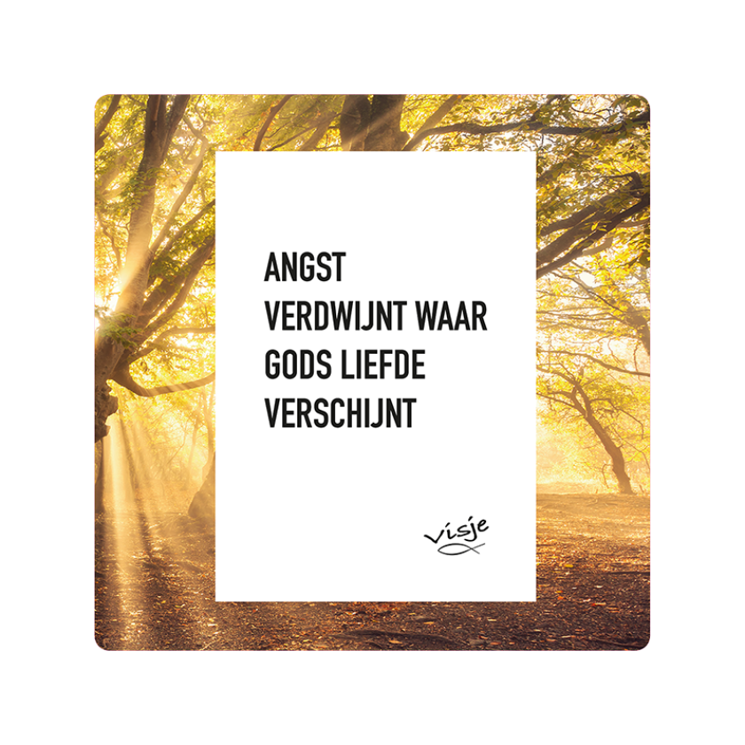 V16042 Visje Cadeaubordjes 15x15 Angst verdwijnt 41a67f18