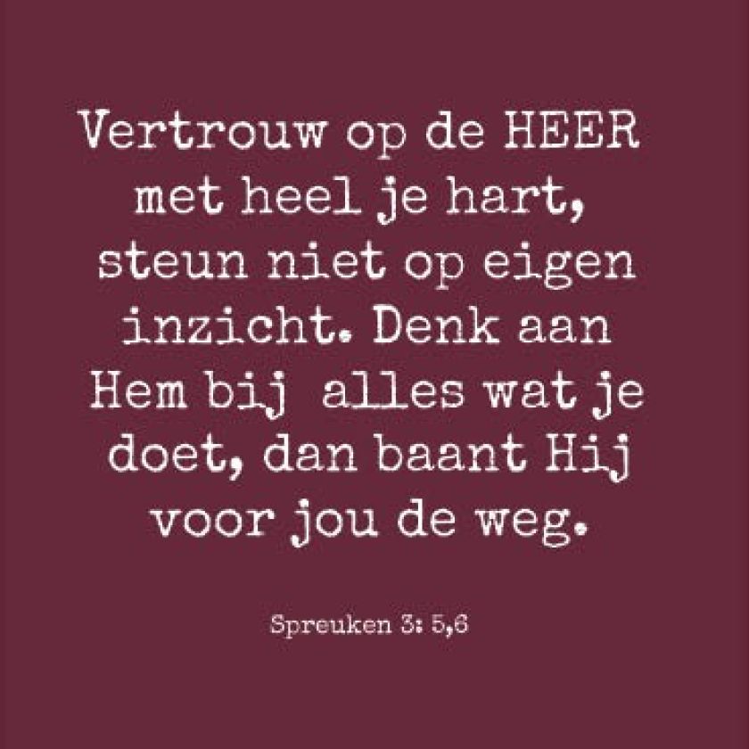 Kaart vertrouw op de Heer - MA35009 -  Interieurkaarten bij MajesticAlly