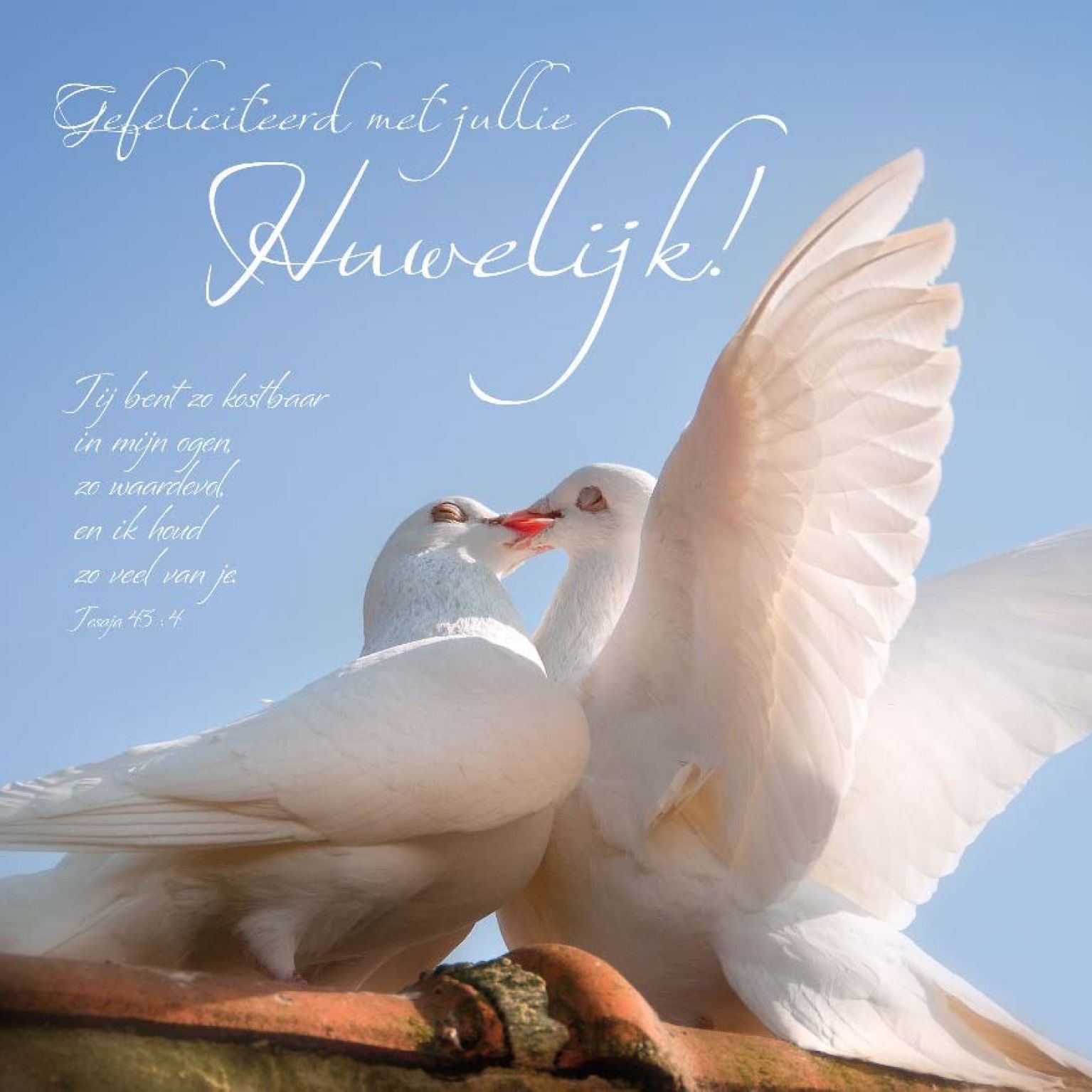 * Voordeelpakket 36 kaarten David Sörensen - MA11100 -  David Sörensen bij MajesticAlly