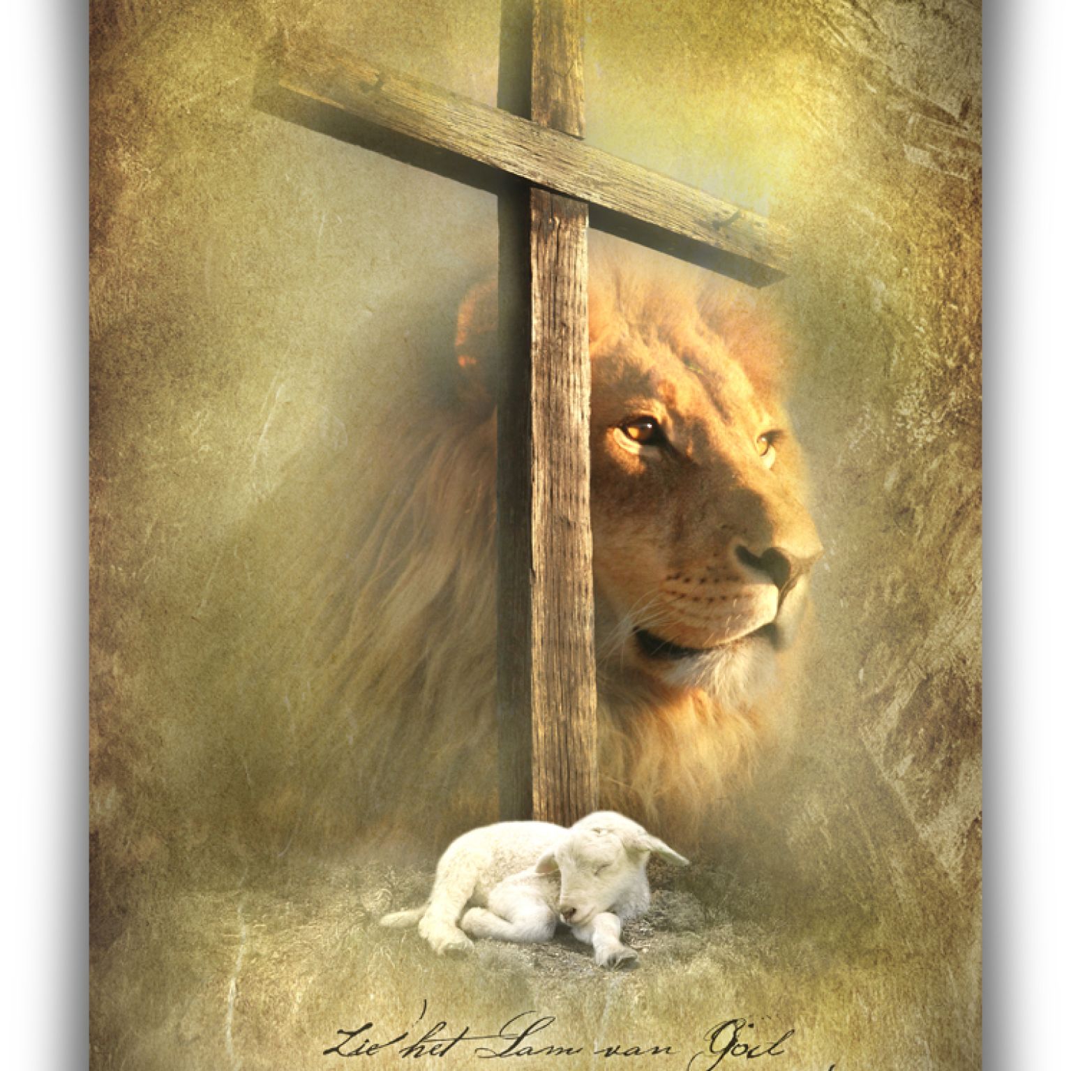 Poster 50x70 Lam van God - MA11316 -  Posters XL  bij MajesticAlly