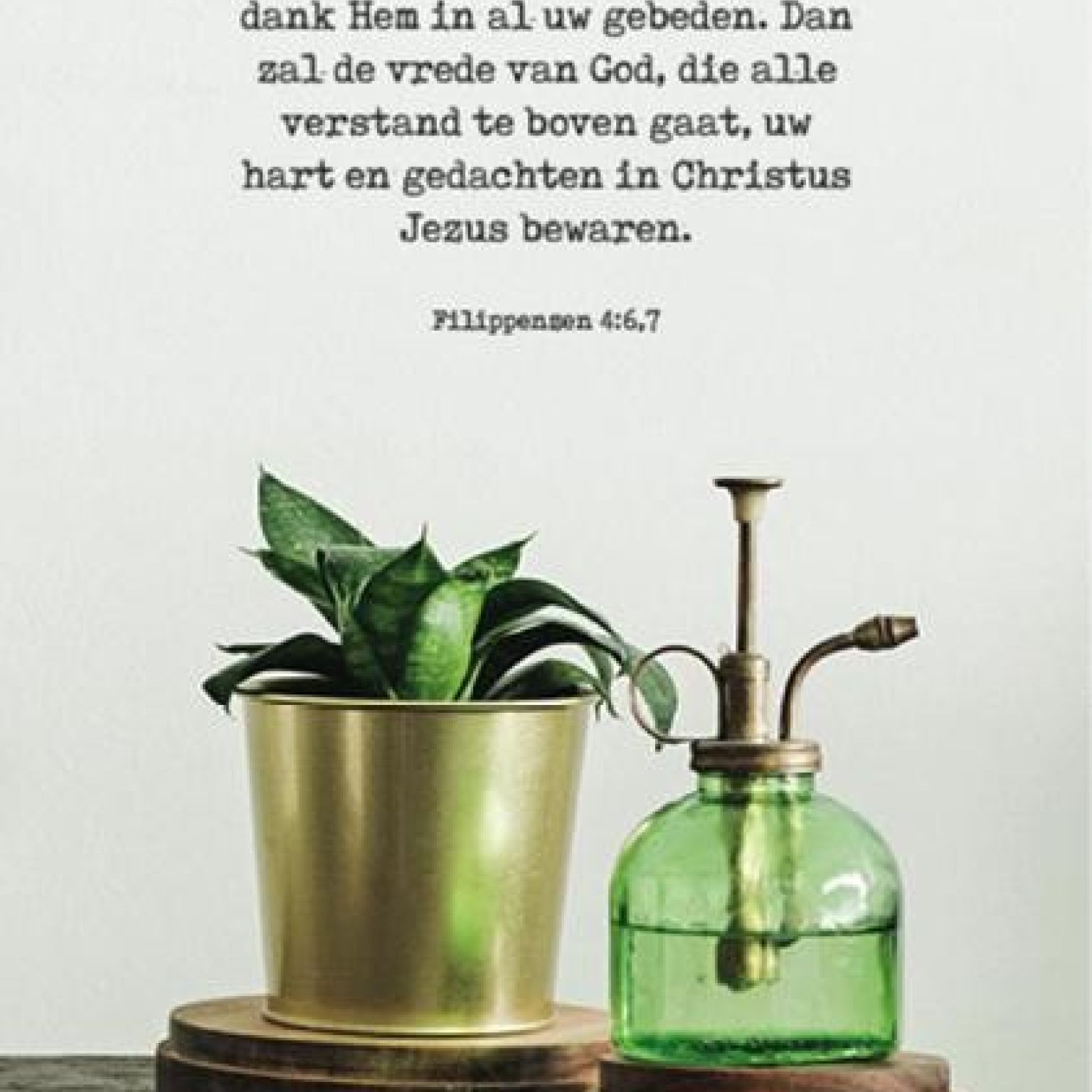 Kaartcadeau Wees over niets bezorgd - MA37039 -  Kaarten bij MajesticAlly