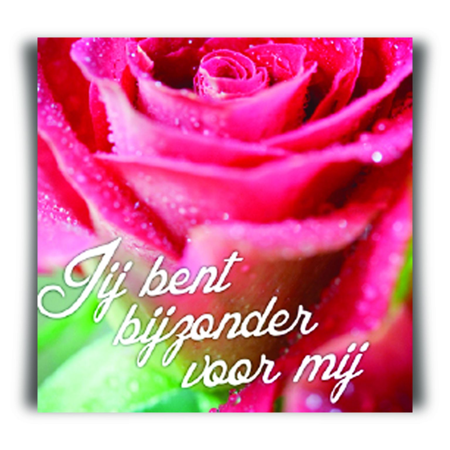 Kadokaartje x12 je bent bijzonder voor mij - MA12117xx -  Sale bij MajesticAlly