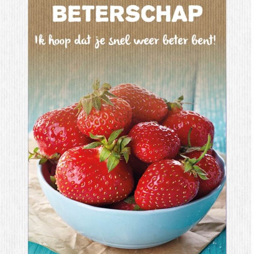 Sponsorpakket 40 kaarten met envelop - MA17000S -  Leef!  bij MajesticAlly