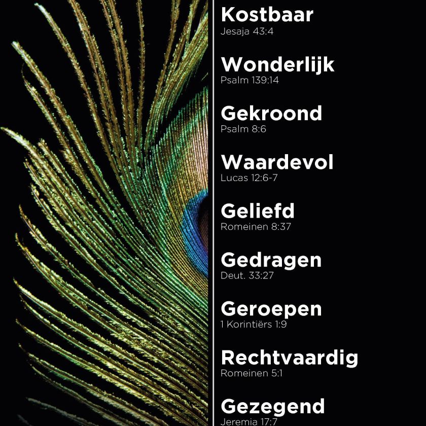 200006135 1 3 4fb5e602