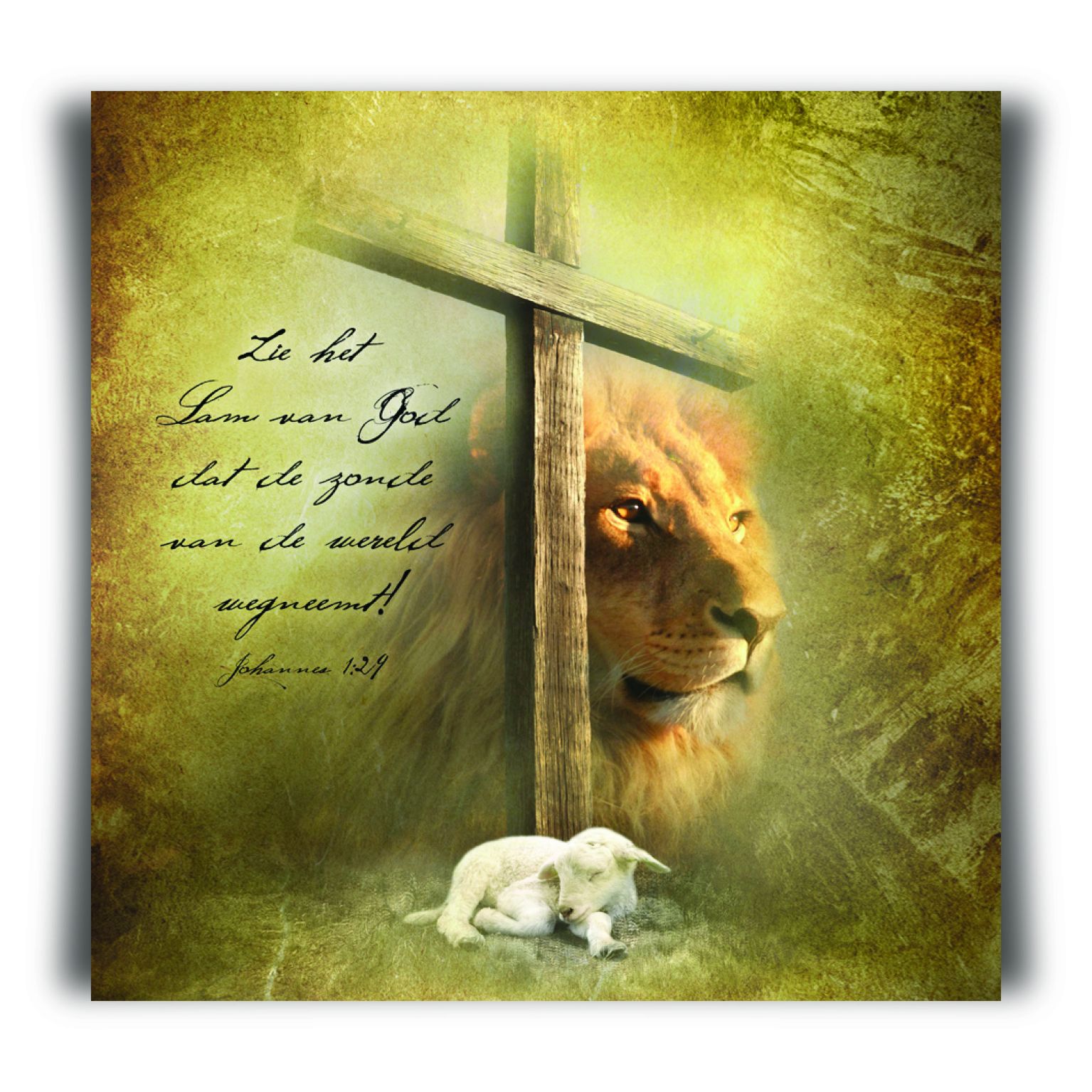 Choice kaartje lam van God - MA11211 -  Minikaartjes - vierkant bij MajesticAlly