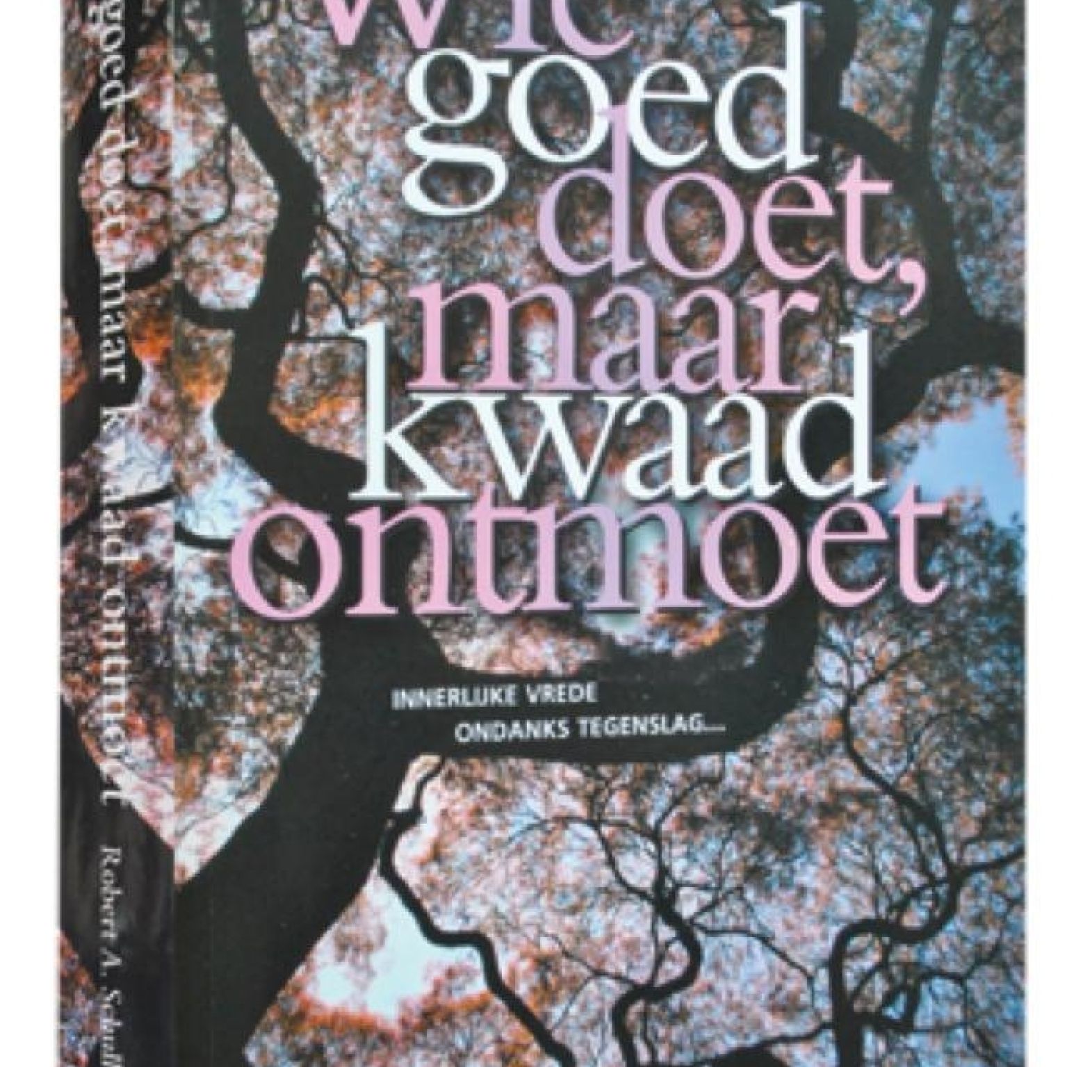 Wie goed doet maar kwaad ontmoet - 9789078893462 -  Boeken bij MajesticAlly