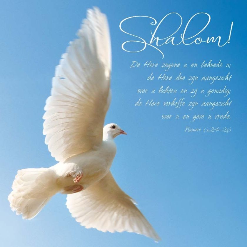 * Voordeelpakket 36 kaarten David Sörensen - MA11100 -  David Sörensen bij MajesticAlly