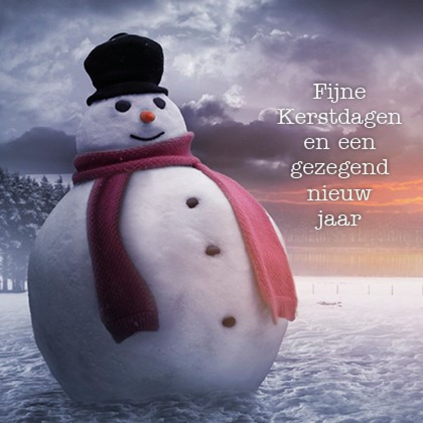 Voordeelpakje kerstkaarten 'Lifestyle 2' - 6 stuks - MA26054 -  Voordeelpakjes kerst bij MajesticAlly