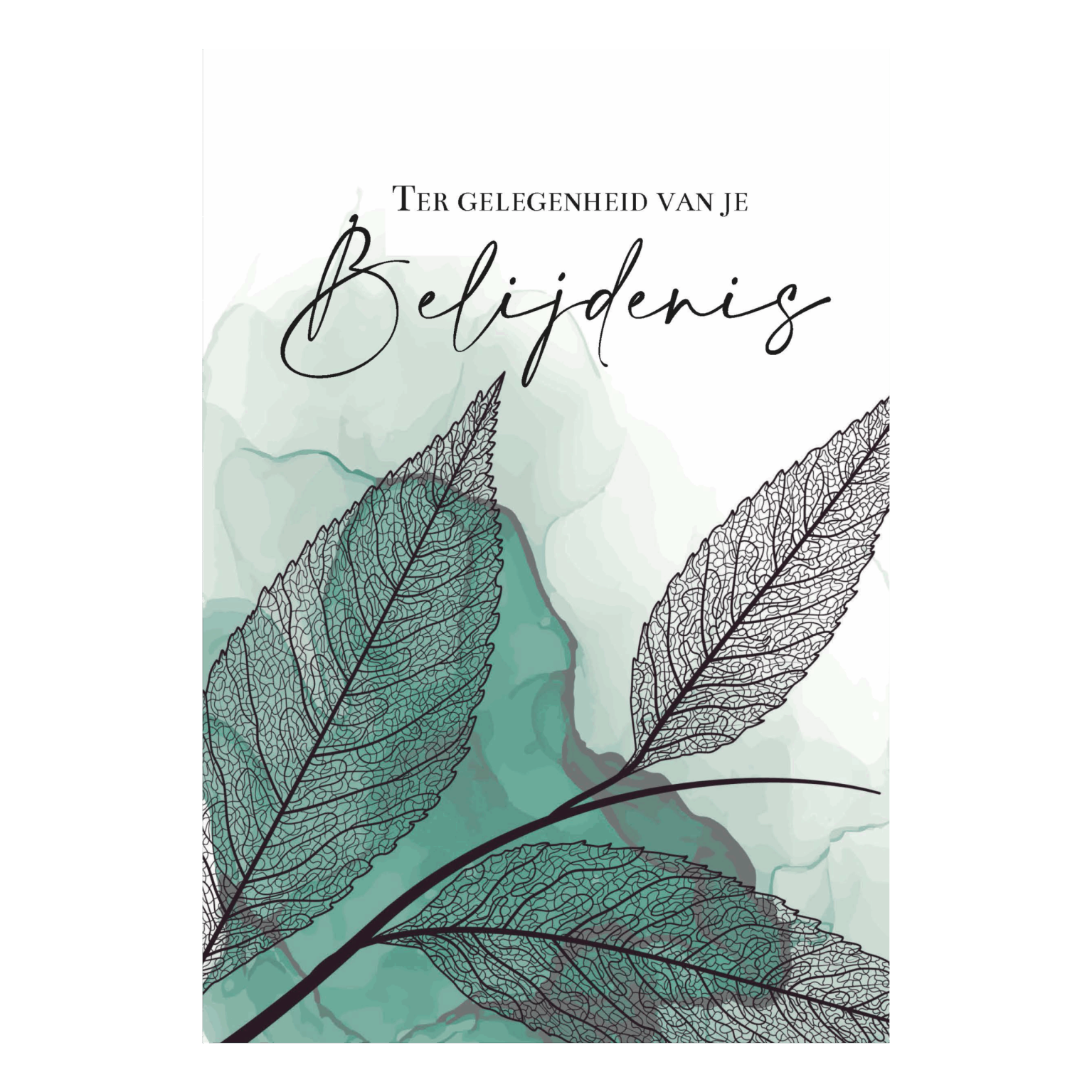 MA55008 NA scaled 600f223e