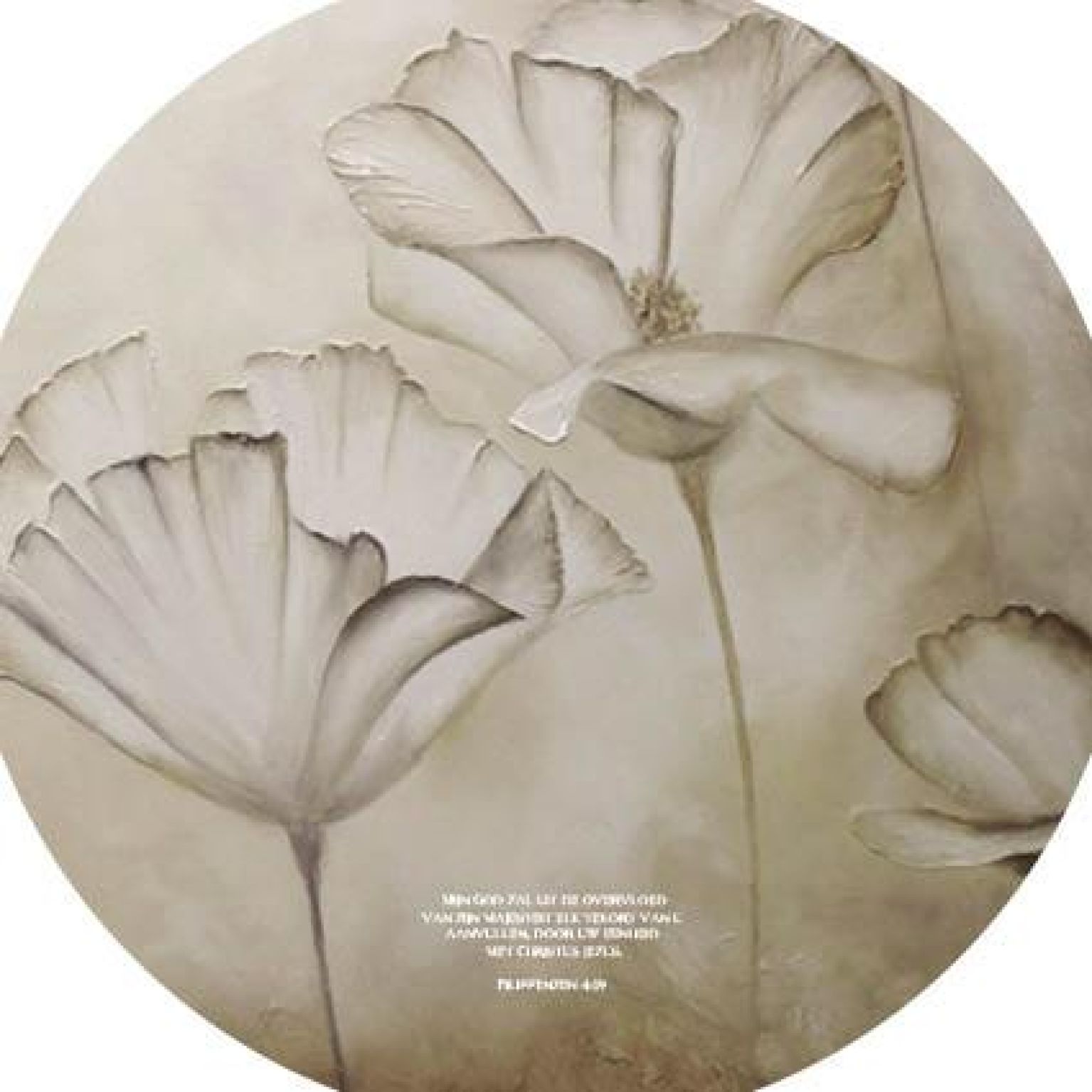 200007688 1 2 67d2187b