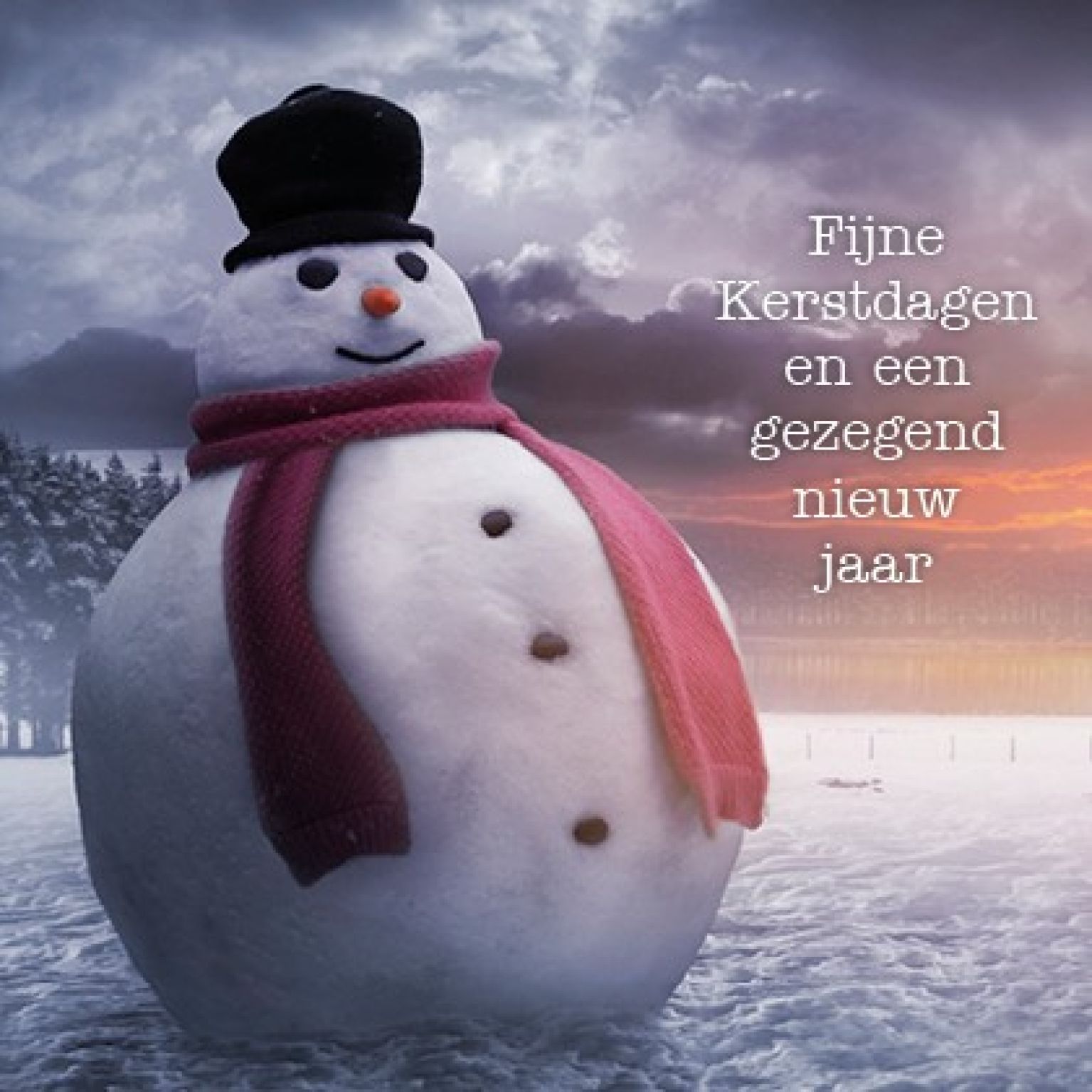 Voordeelpakje kerstkaarten 'Lifestyle 2' - 6 stuks - MA26054 -  Voordeelpakjes kerst bij MajesticAlly