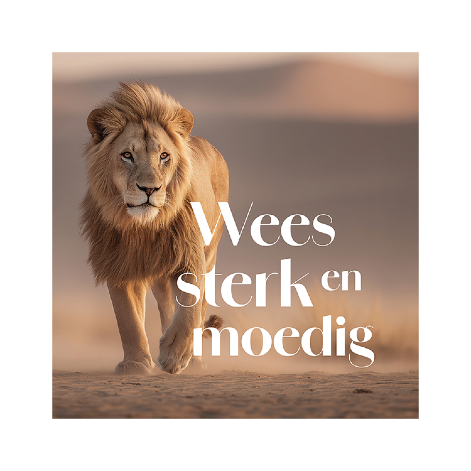 MA59022 4 Seasons Leeuw.pdf 6cedd1f5