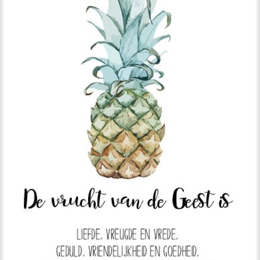 * Sponsorpakket  'Beautiful day' voor een Bijbel - MA25000S2 -  Voordeelpakjes bij MajesticAlly