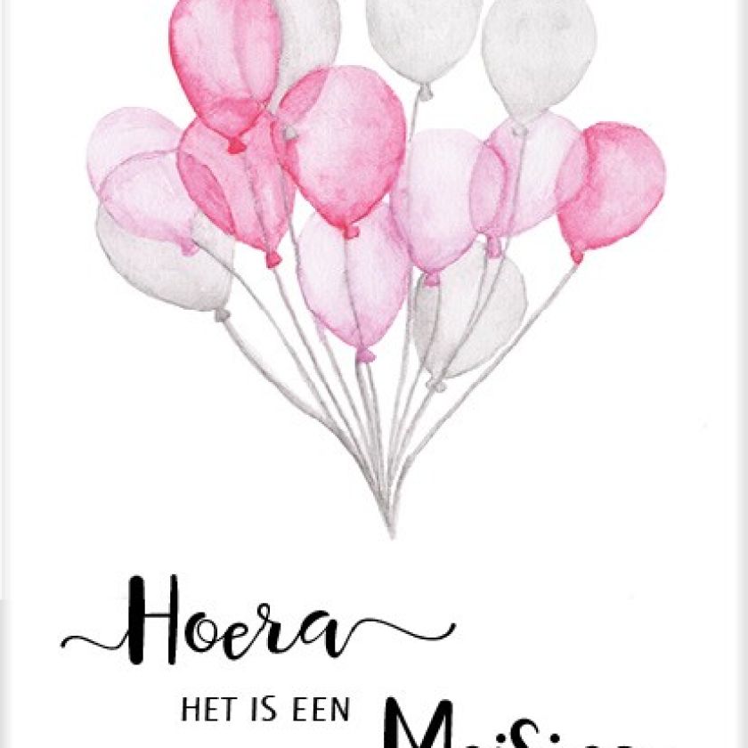 * Sponsorpakket  'Beautiful day' voor een Bijbel - MA25000S2 -  Voordeelpakjes bij MajesticAlly