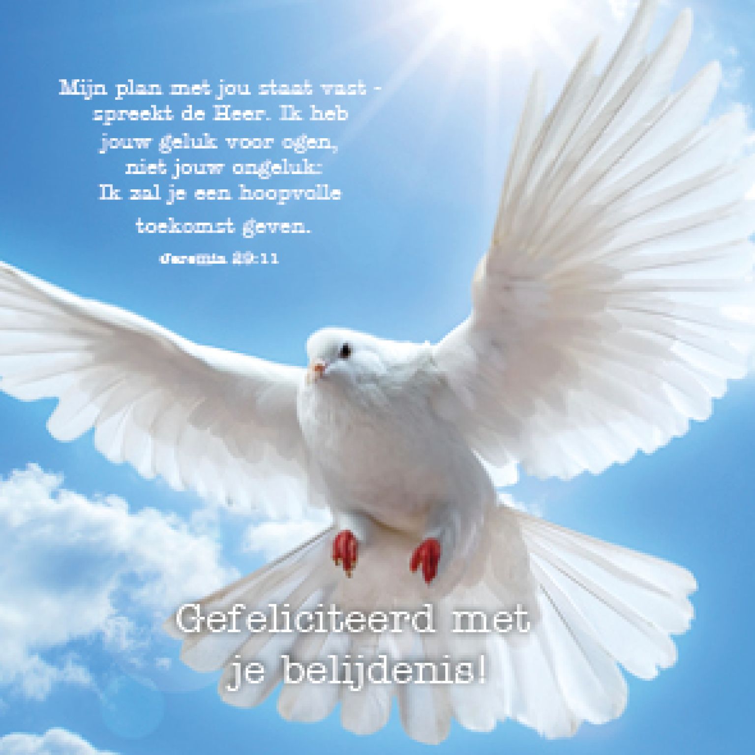 Kaart 'Belijdenis -  Jer 29:11' - MA15020 -  Lifestyle bij MajesticAlly