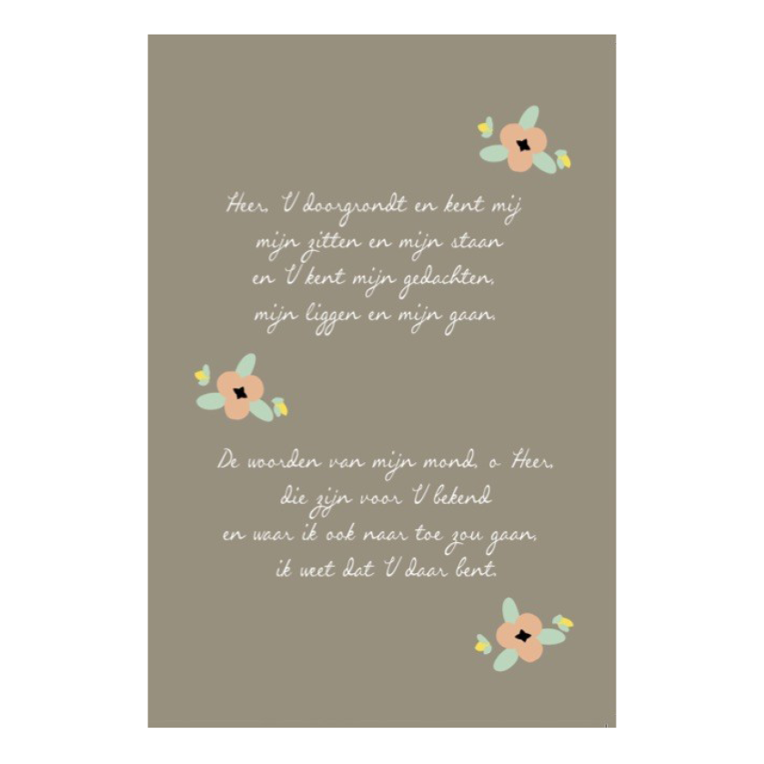 552665 S NA 79349dd6