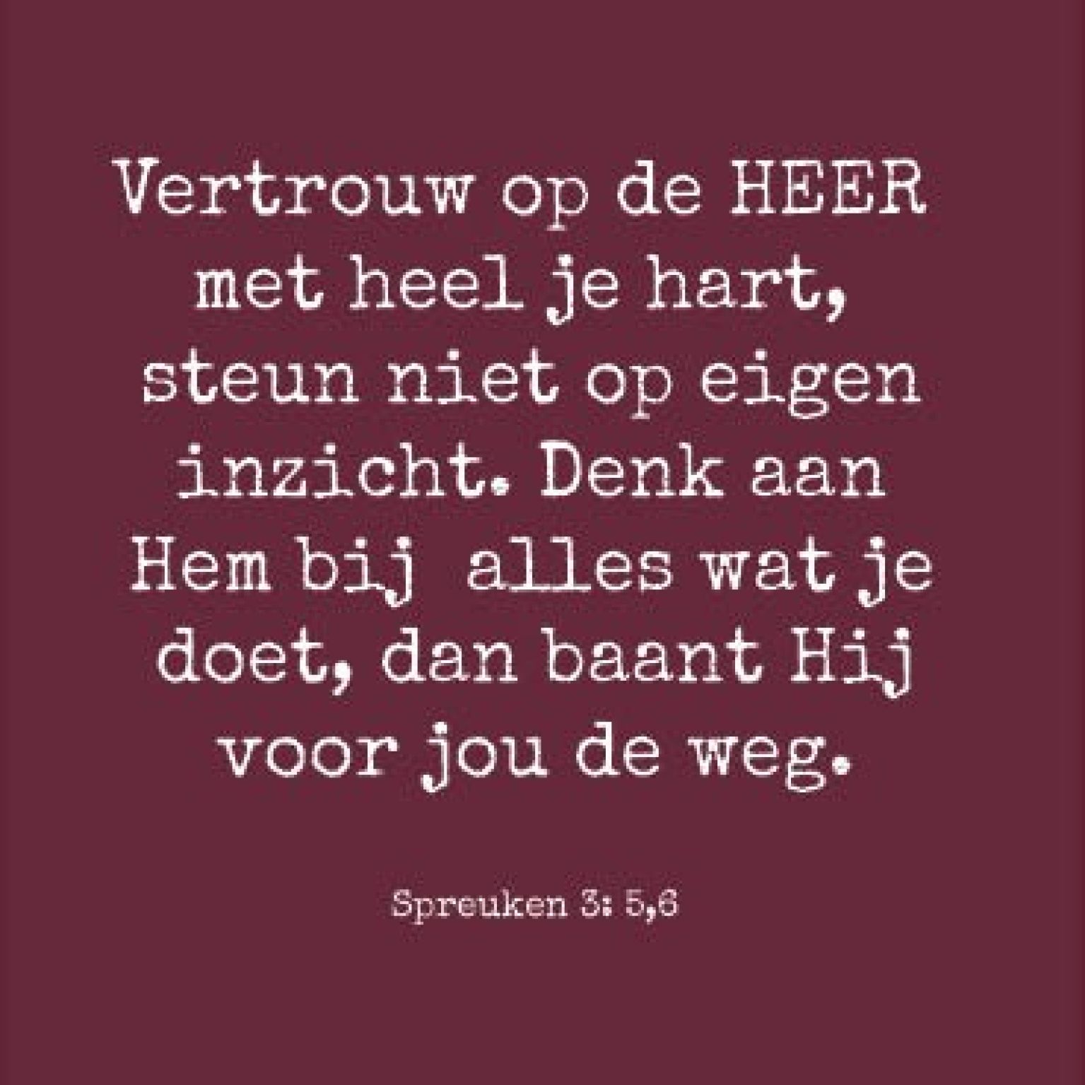 Kaart vertrouw op de Heer - MA35009 -  Interieurkaarten bij MajesticAlly