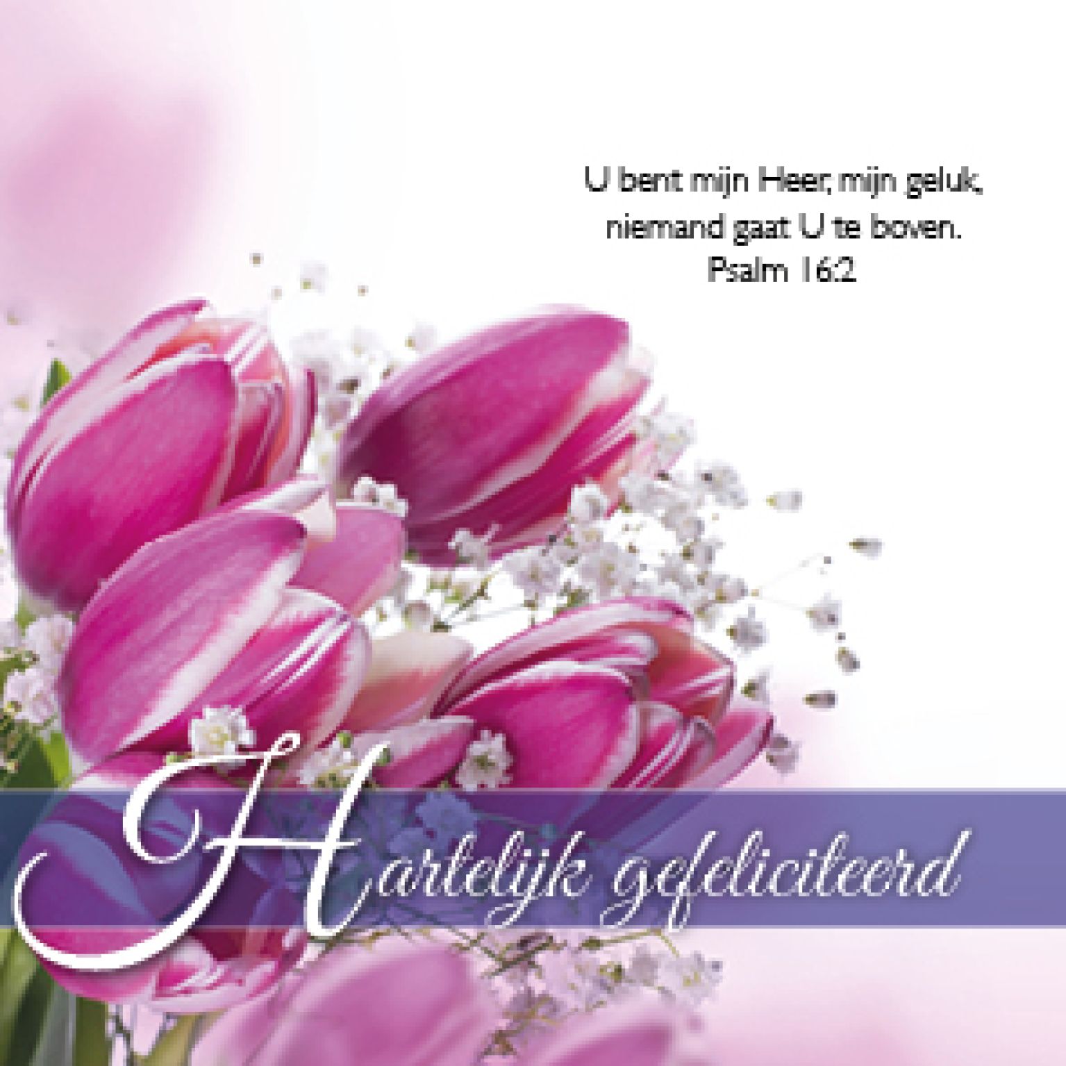 Kadokaartje x12 hartelijk gefeliciteerd - MA46210xx -  Minikaartjes bij MajesticAlly