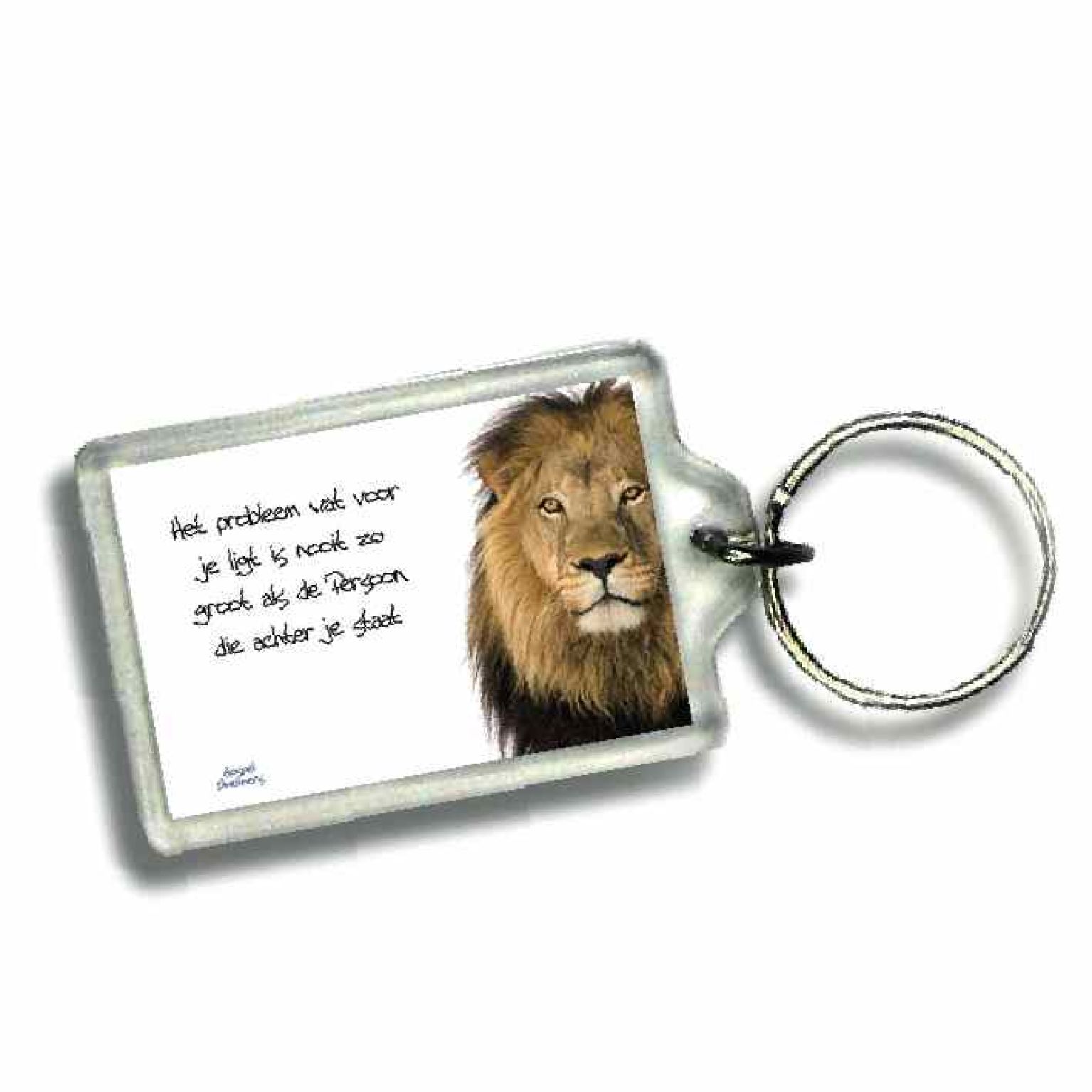 Sleutelhanger het probleem dat voor jou - 46623 -  Gospel Oneliner bij MajesticAlly