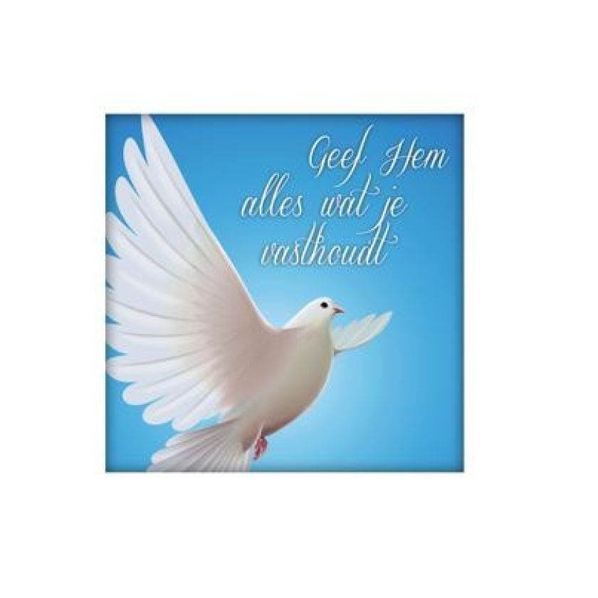 Voordeelpakket 25 x wenskaart Living Melodies - MA14100 -  Living Melodies bij MajesticAlly