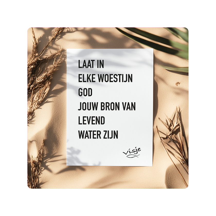 V16008 Visje Cadeaubordjes 15x15 Woestijn Bron 88bef5b2