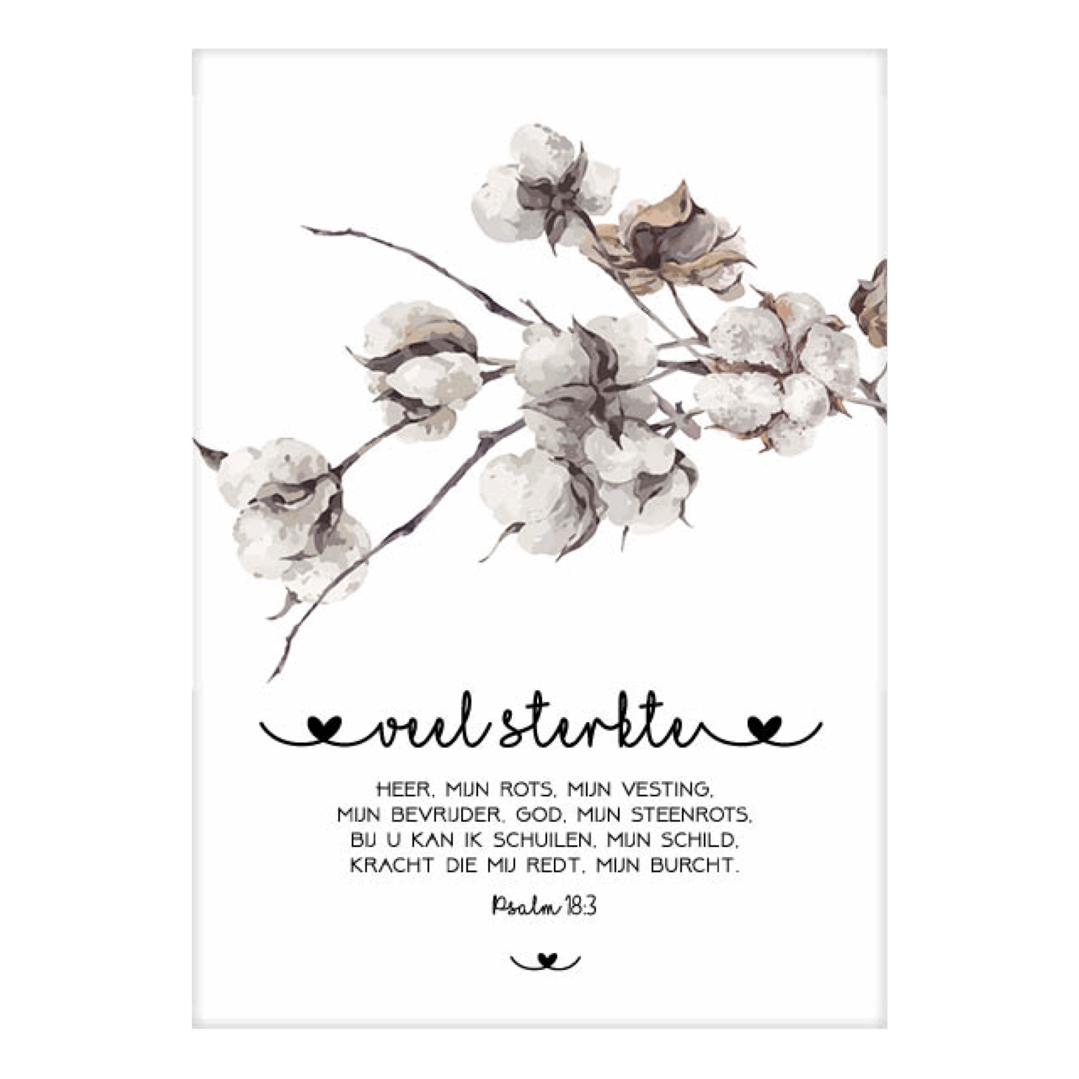 MA31035 NA scaled 8d5acda1