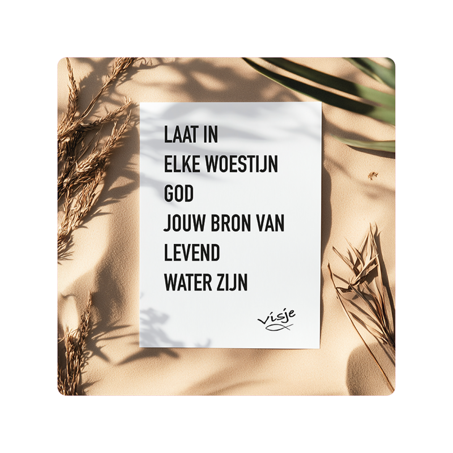 V16008 Visje Cadeaubordjes 15x15 Woestijn Bron 92c38011