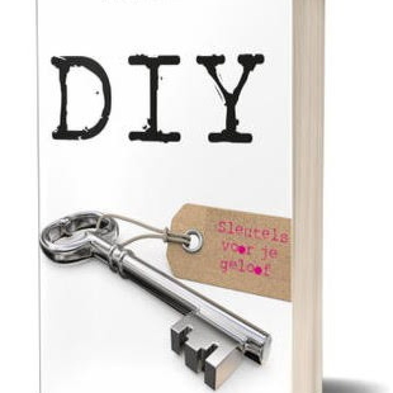 DIY - 9789078893752 -  Boeken bij MajesticAlly