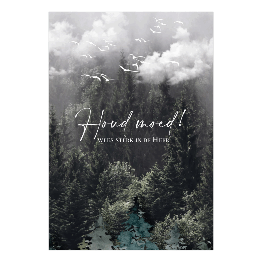 MA55047 NA scaled 9d500158