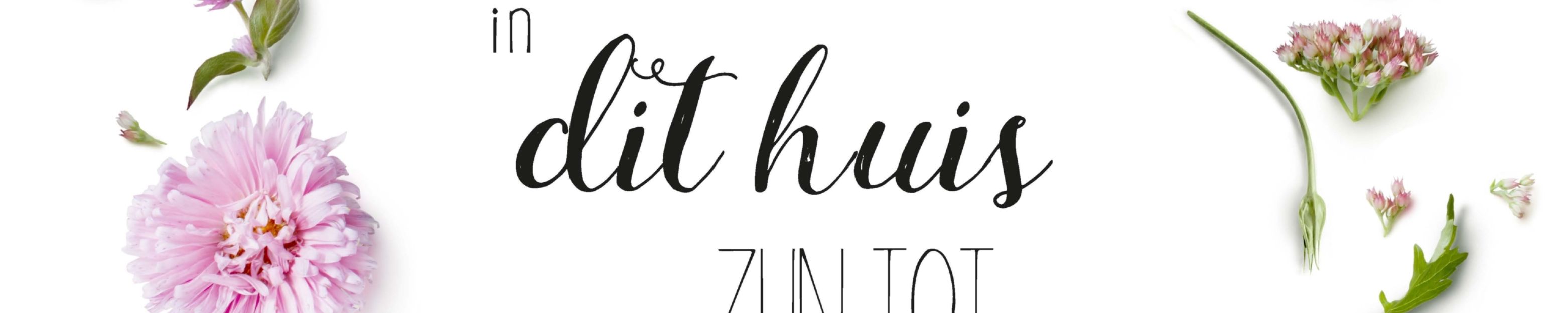 MA17628 scaled 9e4e327c