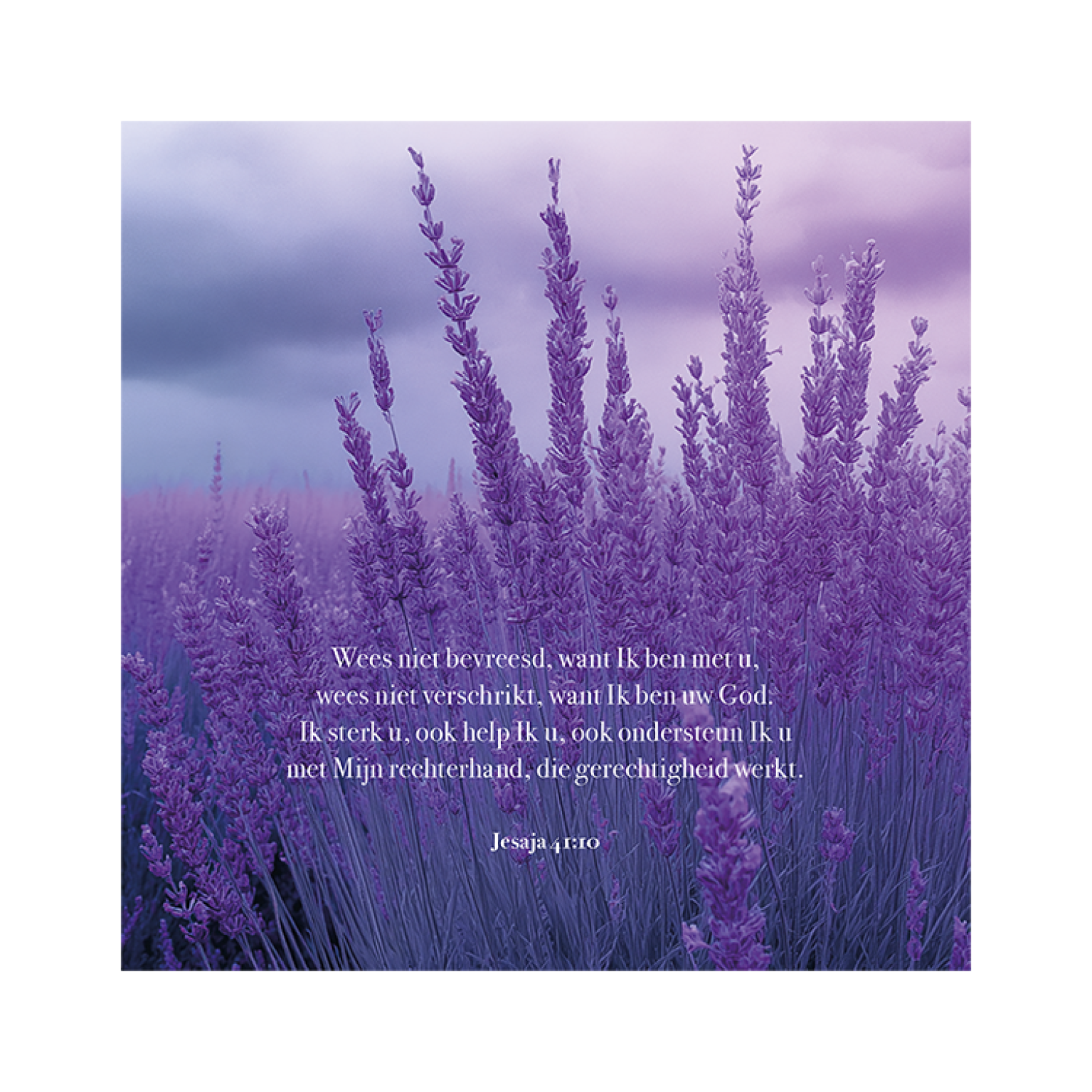 MA59025 4 Seasons Lavendel jesaja 41 vers 10.pdf a5e1c854