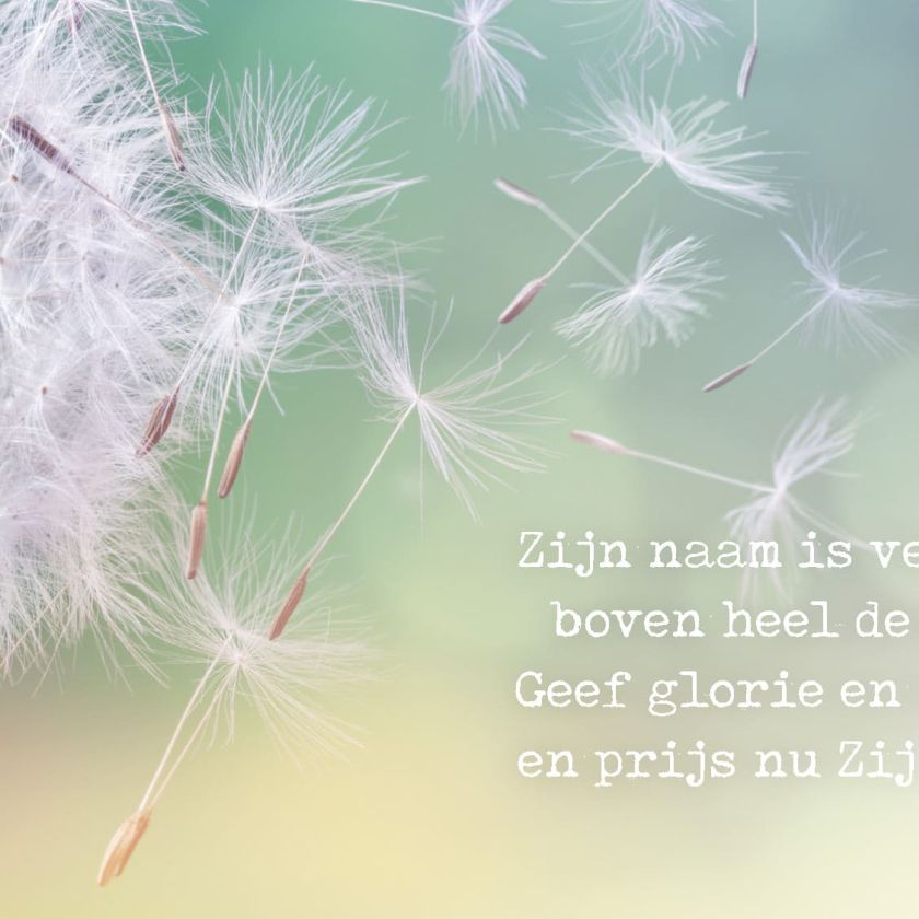 Budgetboekje Opwekking 2022 Pagina 12 a6efecb8